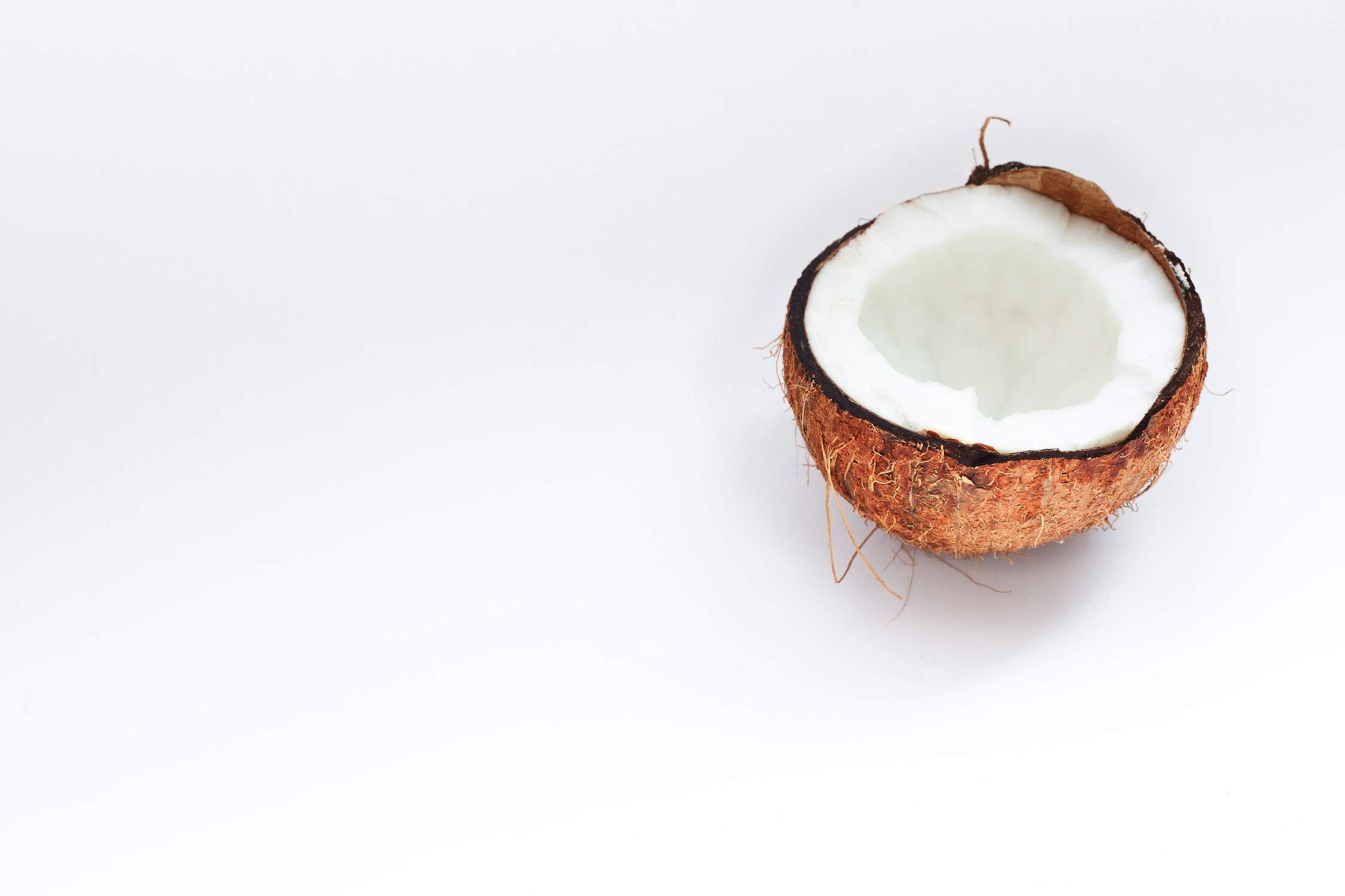 Half of Coconut Closeup on a White Background