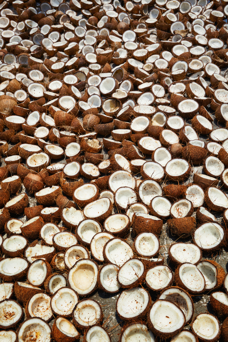 Drying Coconuts, Kerala, South India